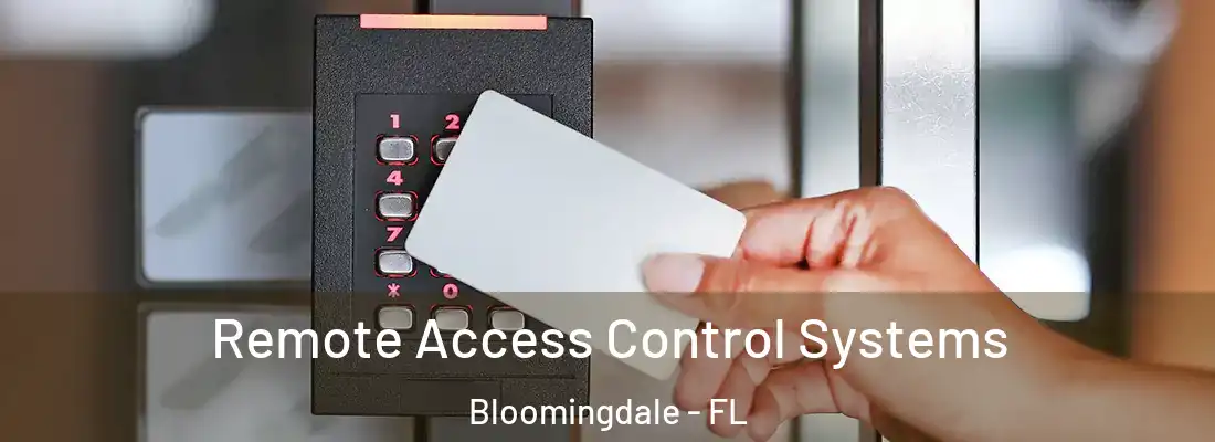 Remote Access Control Systems Bloomingdale - FL