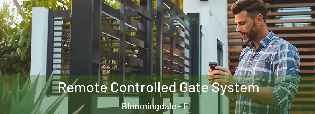 Remote Controlled Gate System Bloomingdale - FL