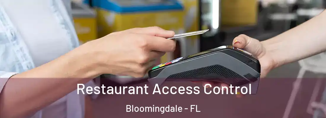  Restaurant Access Control Bloomingdale - FL