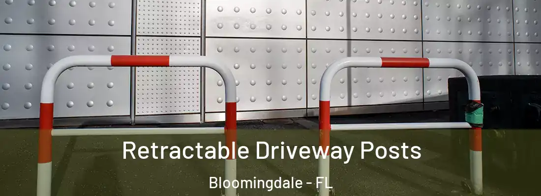 Retractable Driveway Posts Bloomingdale - FL