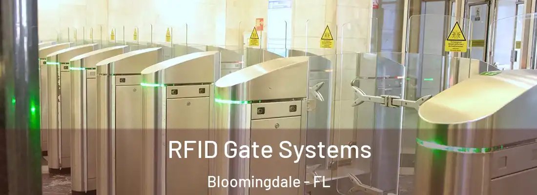  RFID Gate Systems Bloomingdale - FL