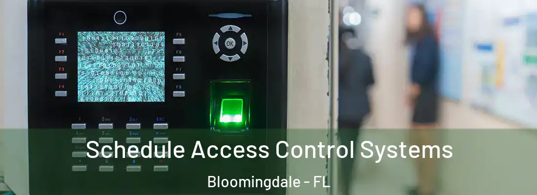 Schedule Access Control Systems Bloomingdale - FL