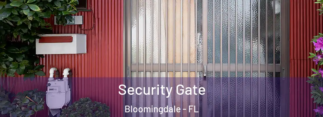  Security Gate Bloomingdale - FL