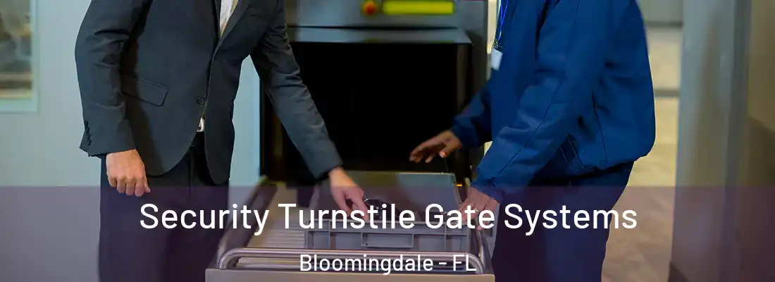 Security Turnstile Gate Systems Bloomingdale - FL
