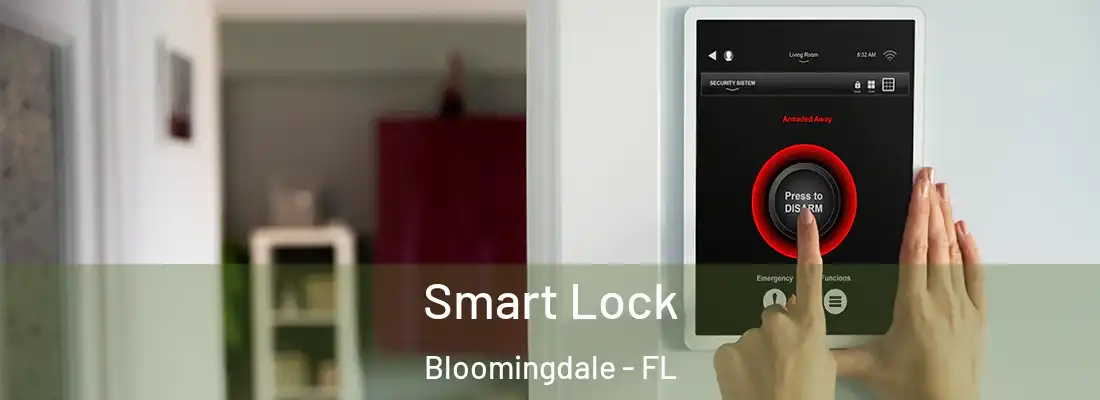  Smart Lock Bloomingdale - FL