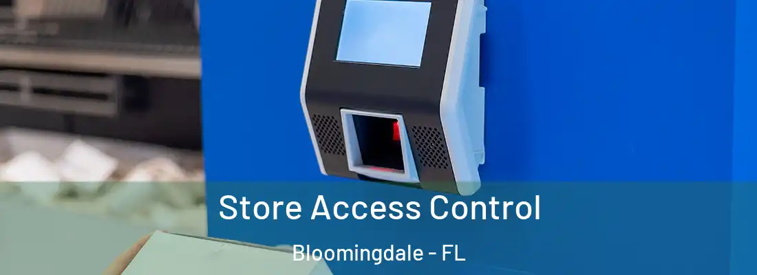 Store Access Control Bloomingdale - FL