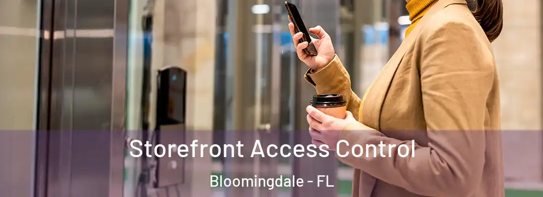 Storefront Access Control Bloomingdale - FL