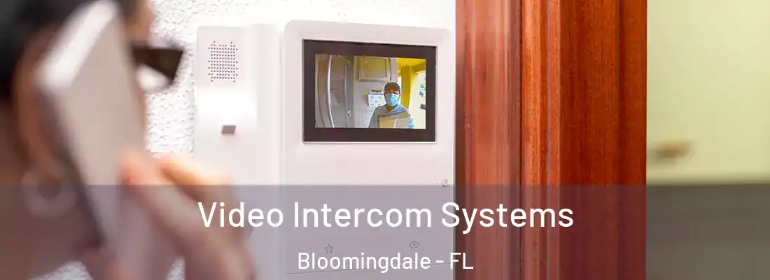 Video Intercom Systems Bloomingdale - FL